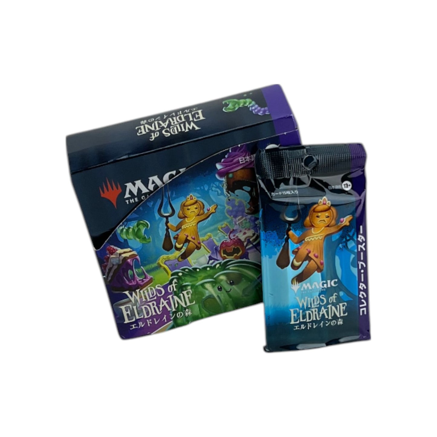 Magic The Gathering Wilds of Eldraine Collector 12 Booster Display Japanisch | Retourware